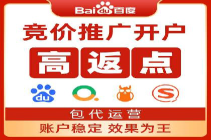 精准营销：百度推广平台的成功案例解析